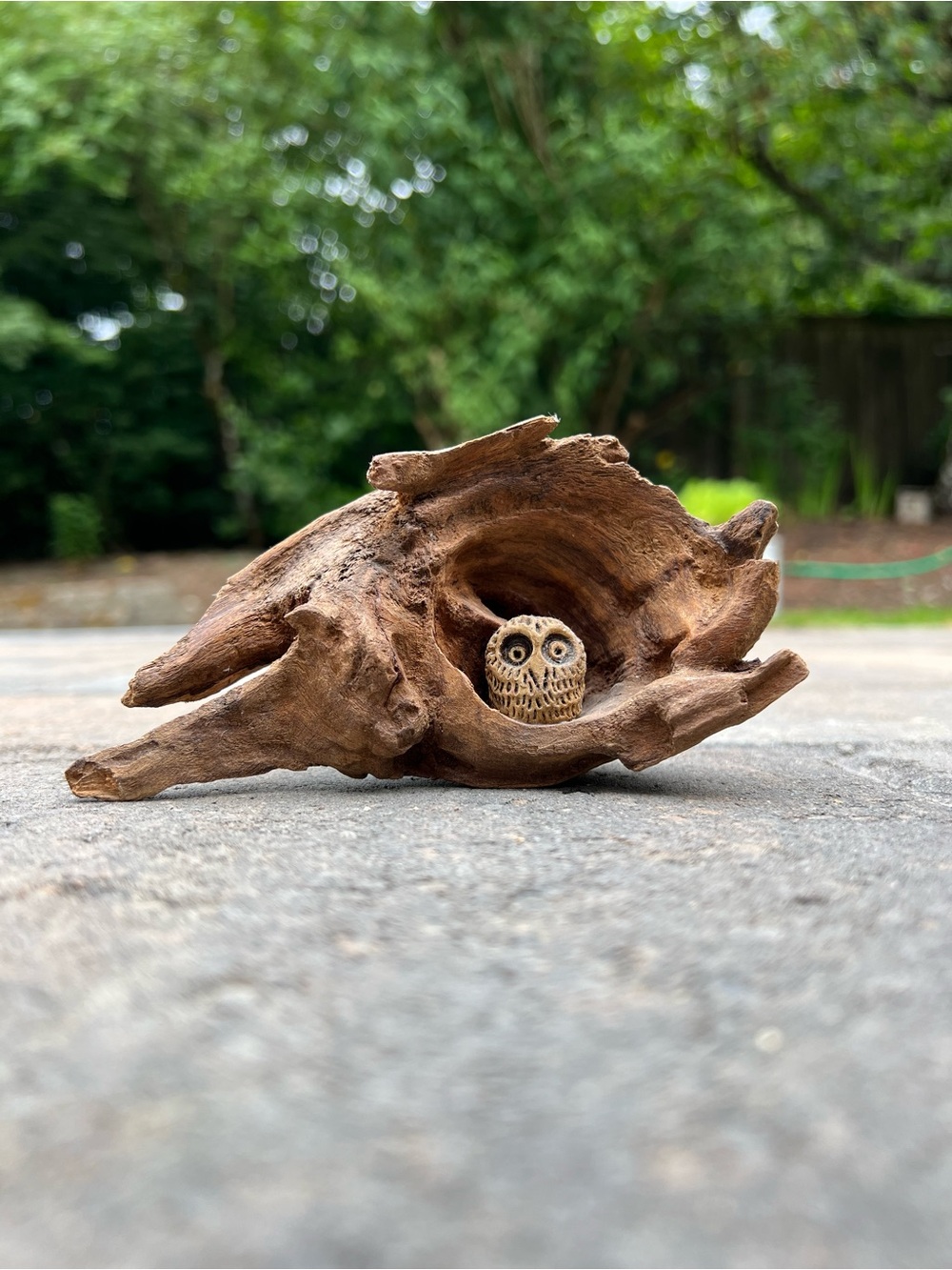 Vintage Hand Carved Wood Owl Figurine Hollow Driftwood Burl Folk Art